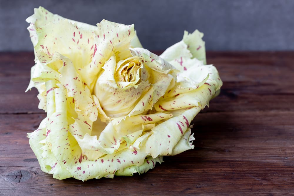Castelfranco Veneto